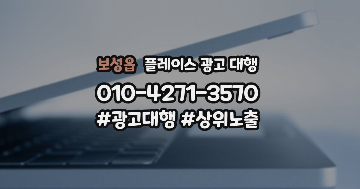 보성읍 플레이스 광고 대행