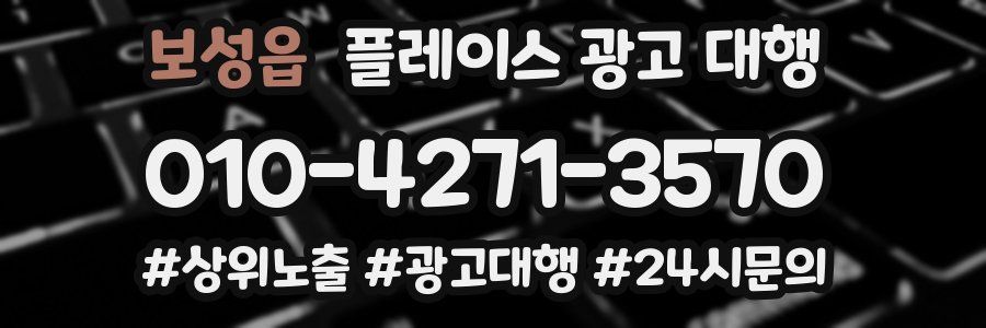 보성읍 플레이스 광고 대행