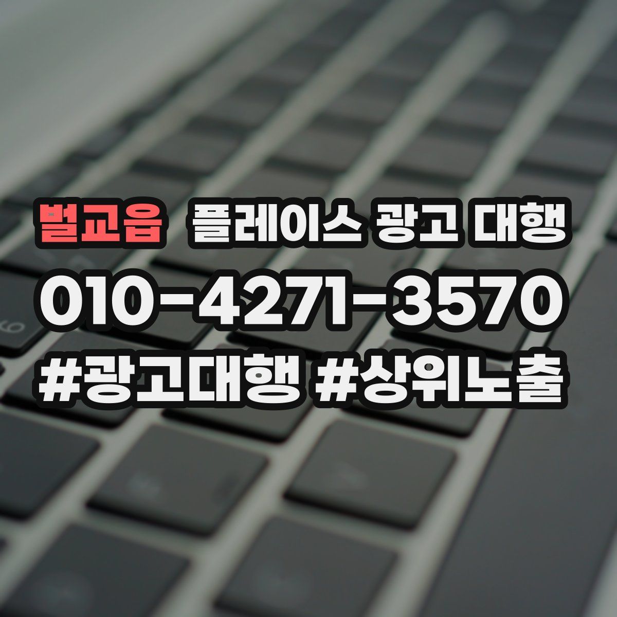 벌교읍 플레이스 광고 대행
