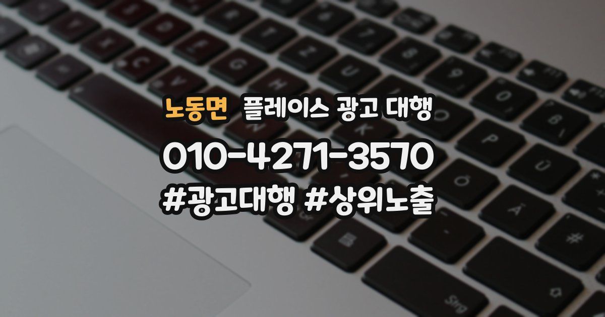 노동면 플레이스 광고 대행