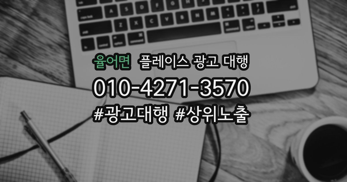 율어면 플레이스 광고 대행