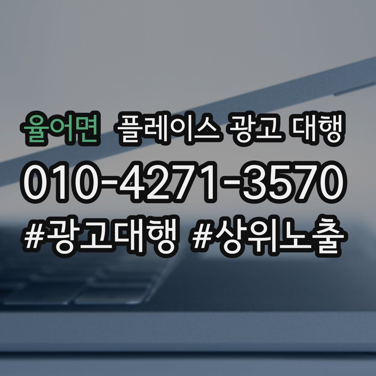 율어면 플레이스 광고 대행