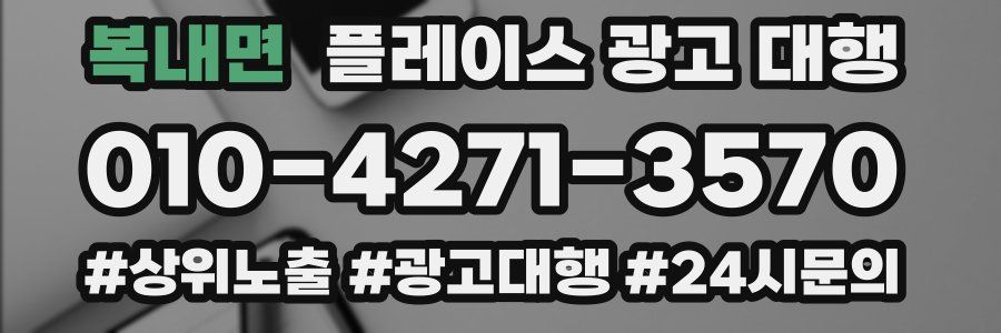 복내면 플레이스 광고 대행