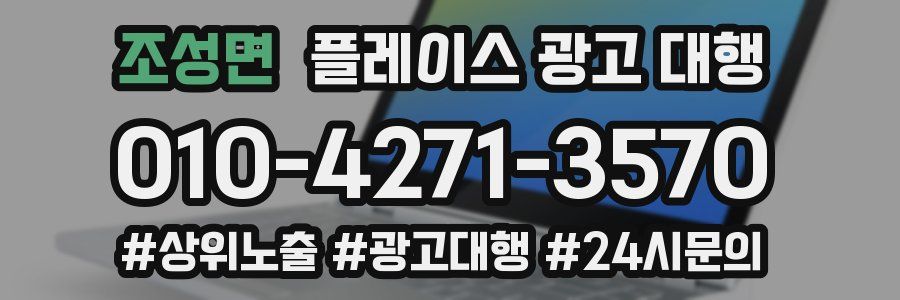 조성면 플레이스 광고 대행