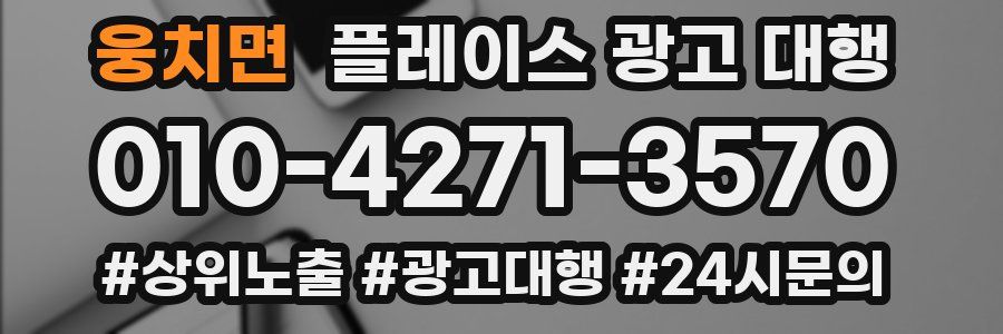 웅치면 플레이스 광고 대행