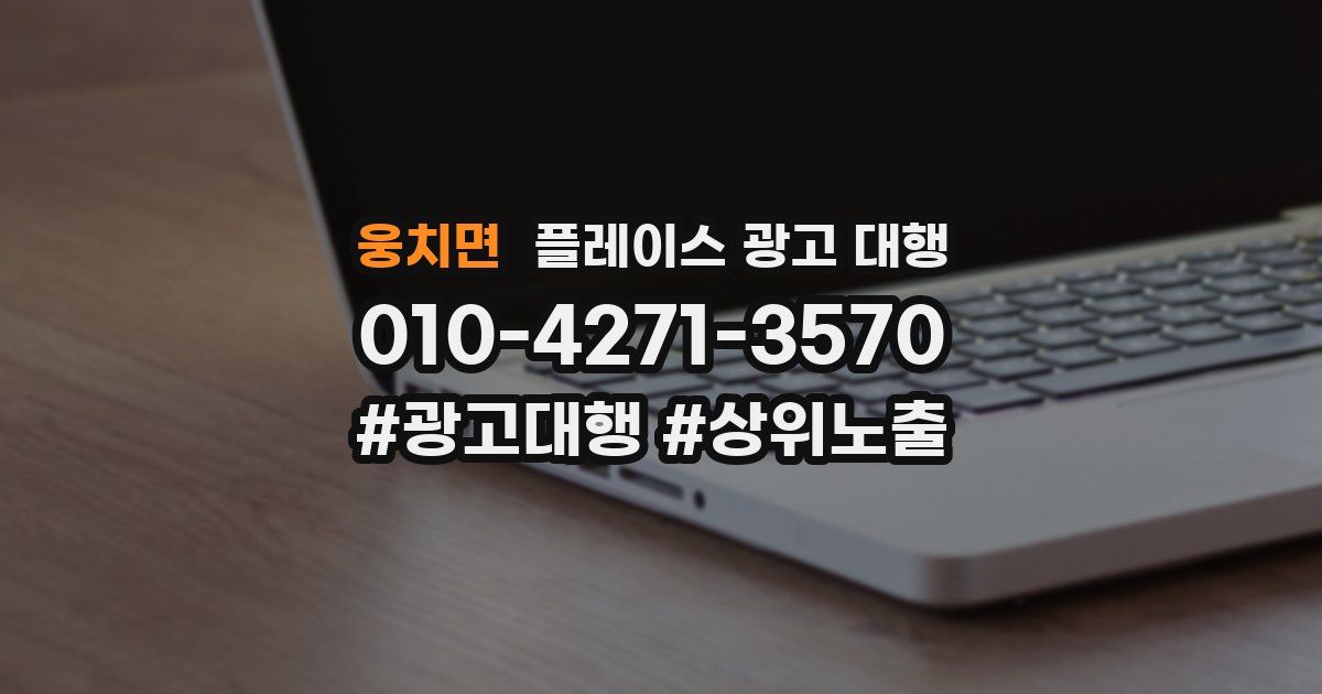 웅치면 플레이스 광고 대행