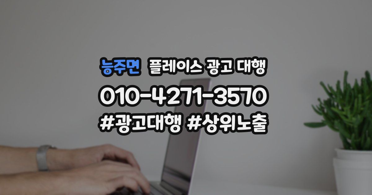 능주면 플레이스 광고 대행