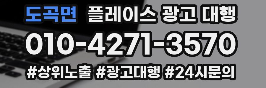 도곡면 플레이스 광고 대행