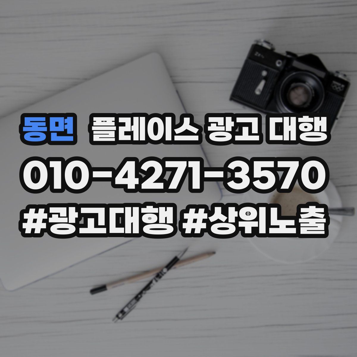 동면 플레이스 광고 대행