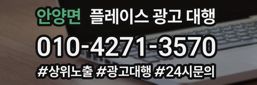 안양면 플레이스 광고 대행