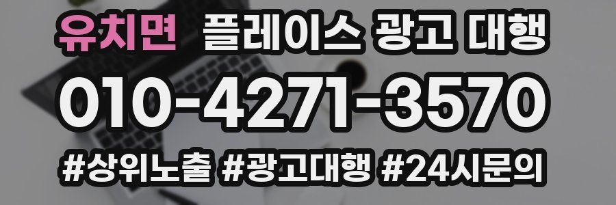 유치면 플레이스 광고 대행