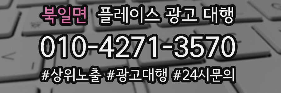 북일면 플레이스 광고 대행