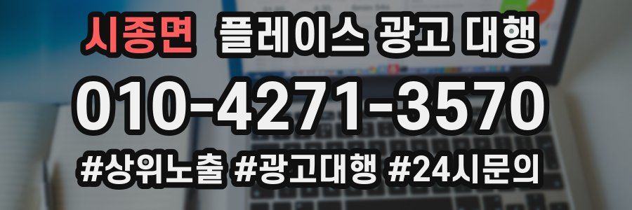 시종면 플레이스 광고 대행