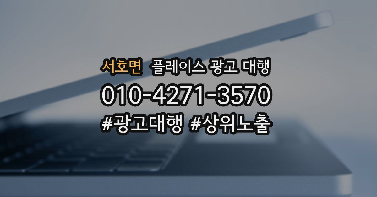서호면 플레이스 광고 대행