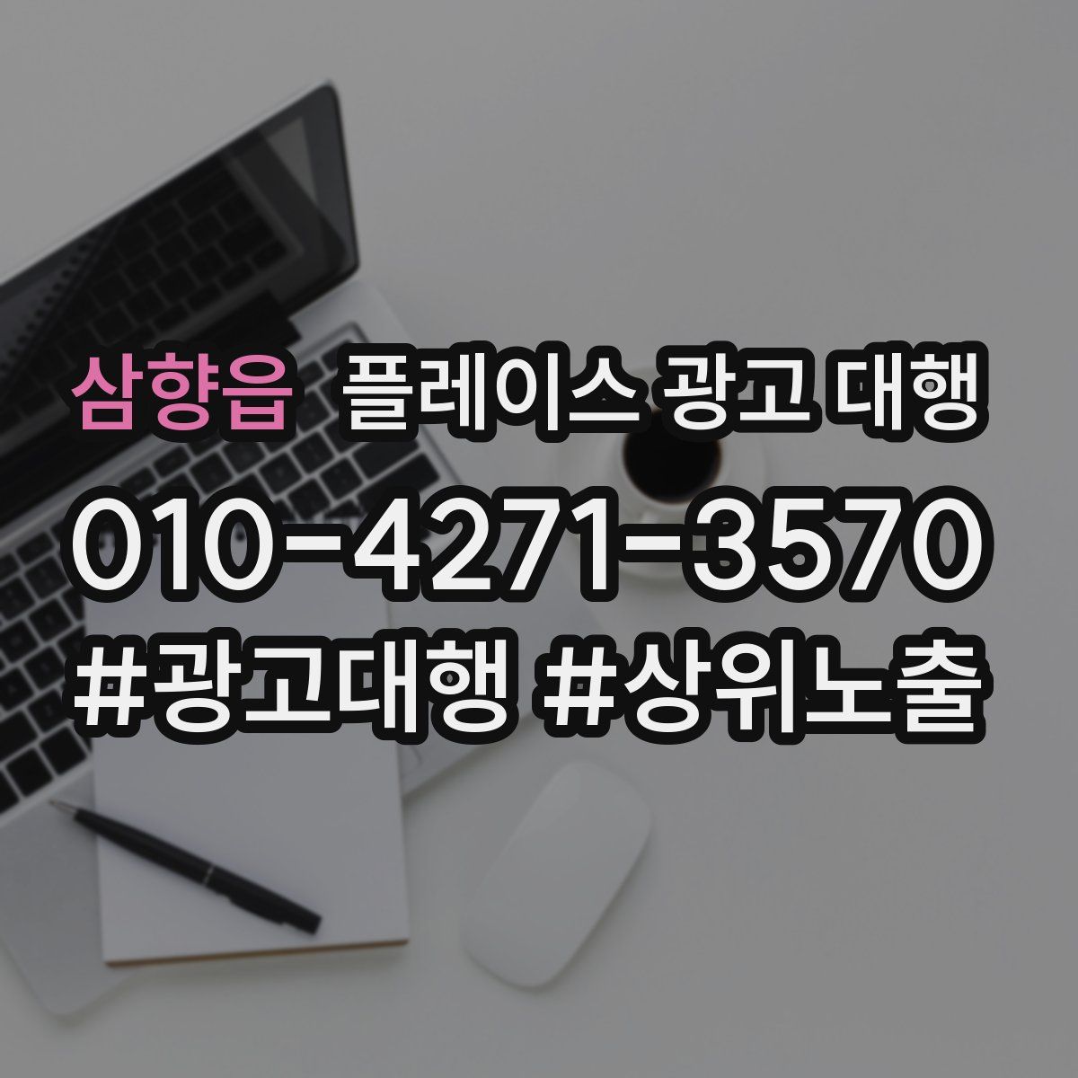 삼향읍 플레이스 광고 대행
