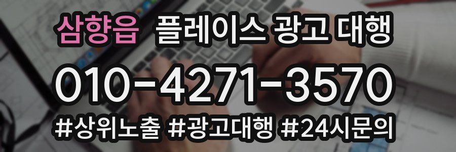 삼향읍 플레이스 광고 대행