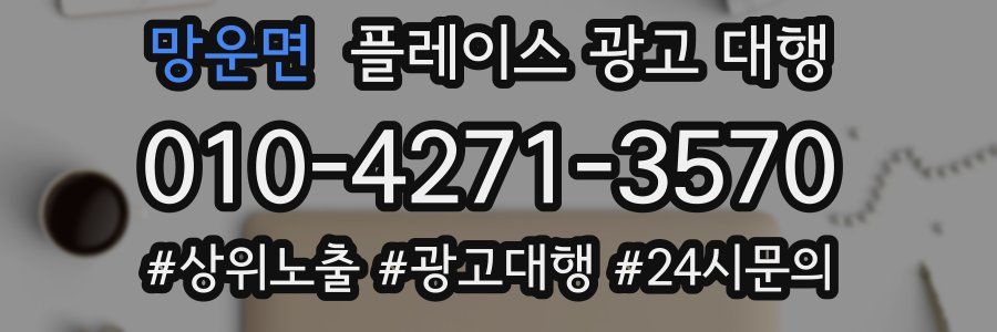 망운면 플레이스 광고 대행