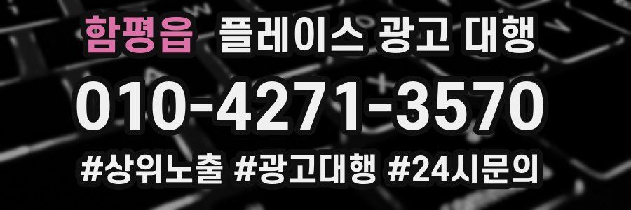 함평읍 플레이스 광고 대행