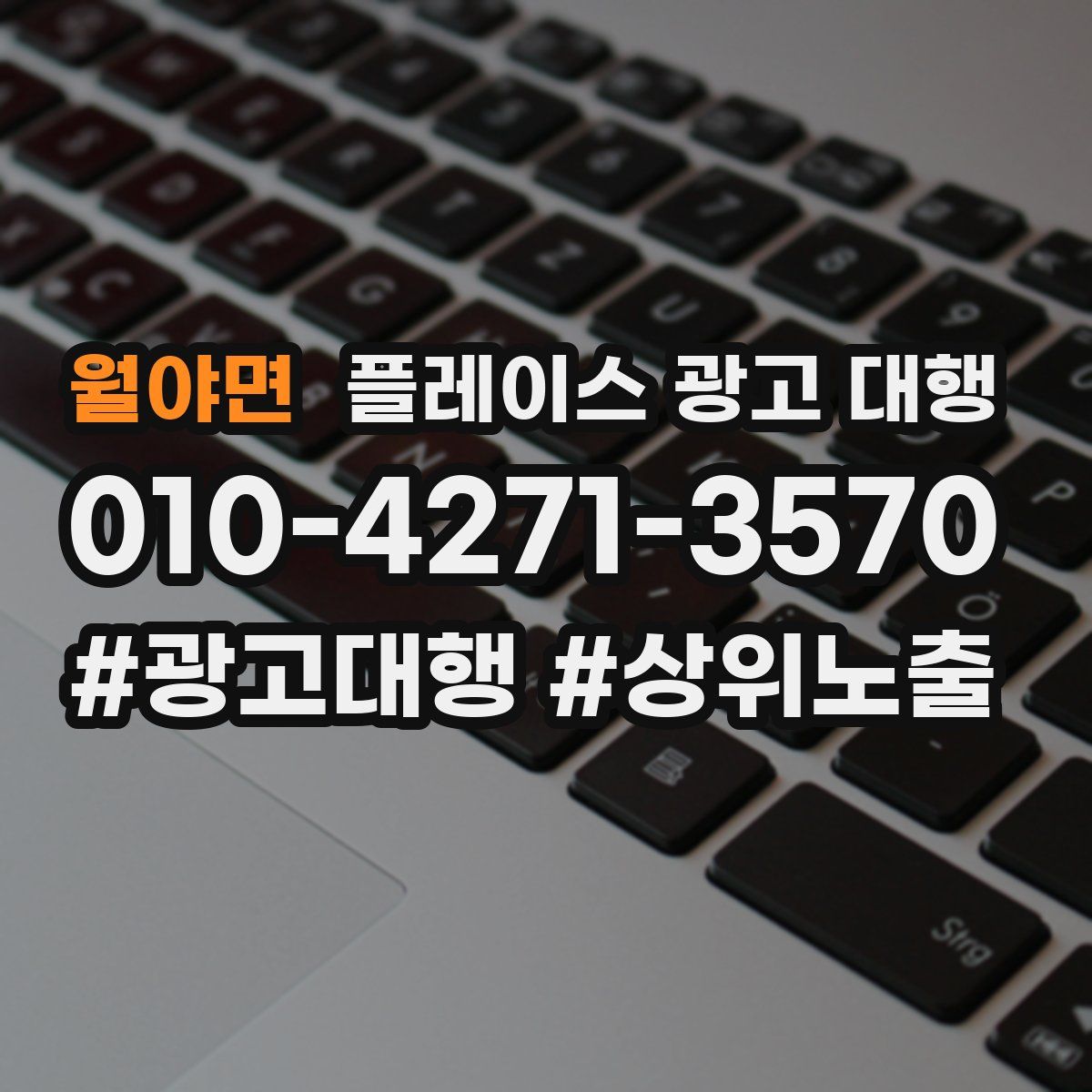 월야면 플레이스 광고 대행