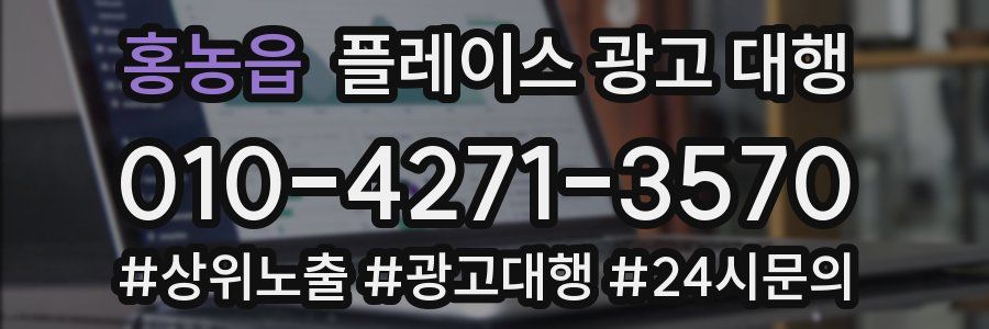 홍농읍 플레이스 광고 대행