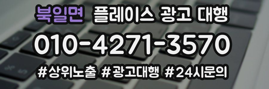 북일면 플레이스 광고 대행