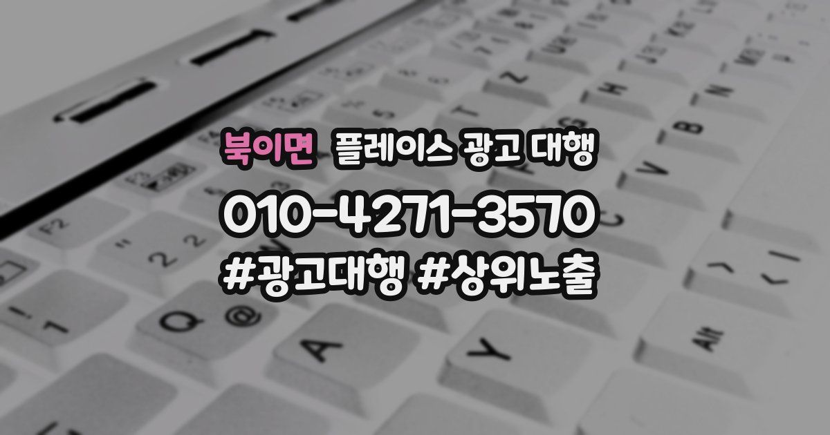 북이면 플레이스 광고 대행