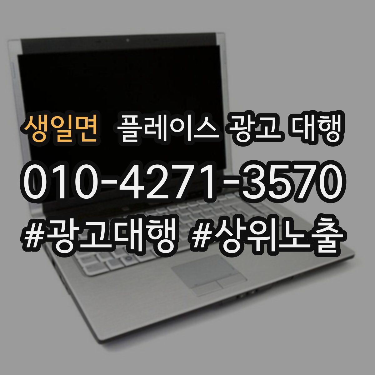 생일면 플레이스 광고 대행
