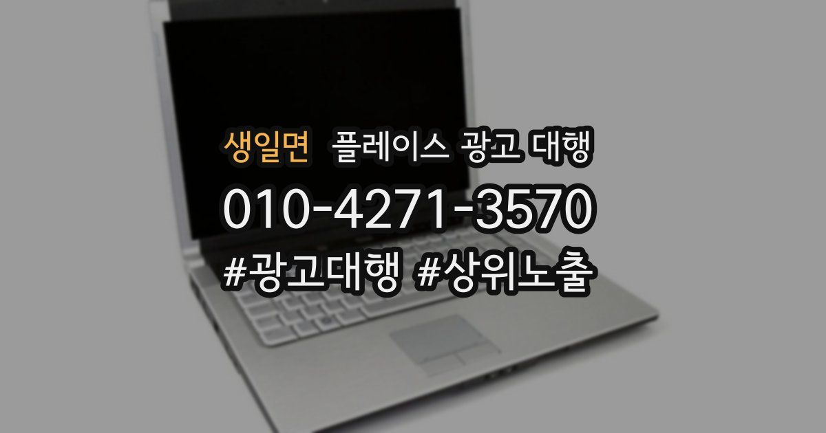 생일면 플레이스 광고 대행