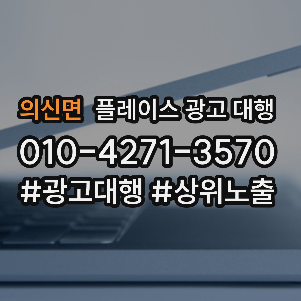 의신면 플레이스 광고 대행