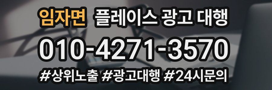 임자면 플레이스 광고 대행