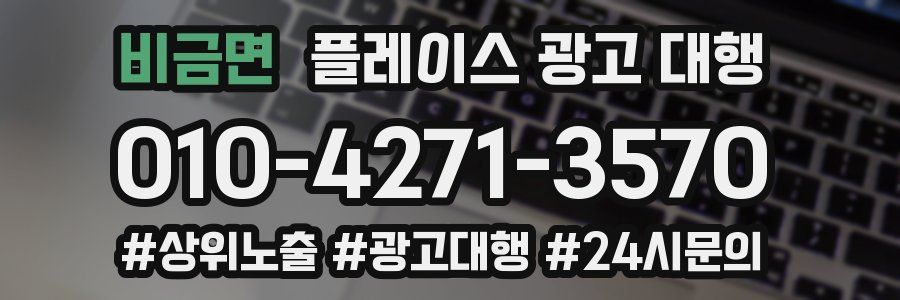 비금면 플레이스 광고 대행