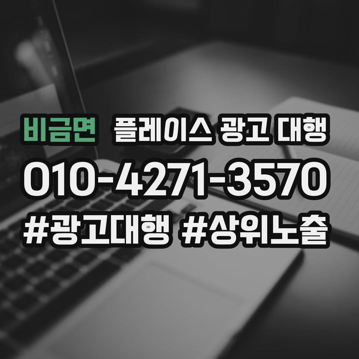 비금면 플레이스 광고 대행