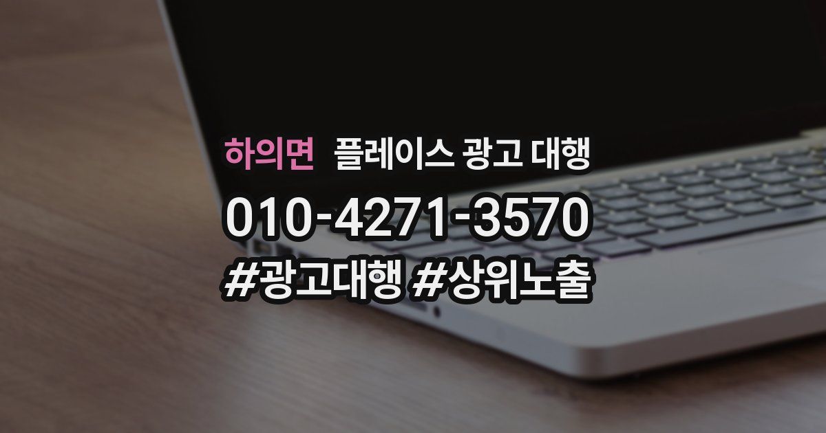 하의면 플레이스 광고 대행