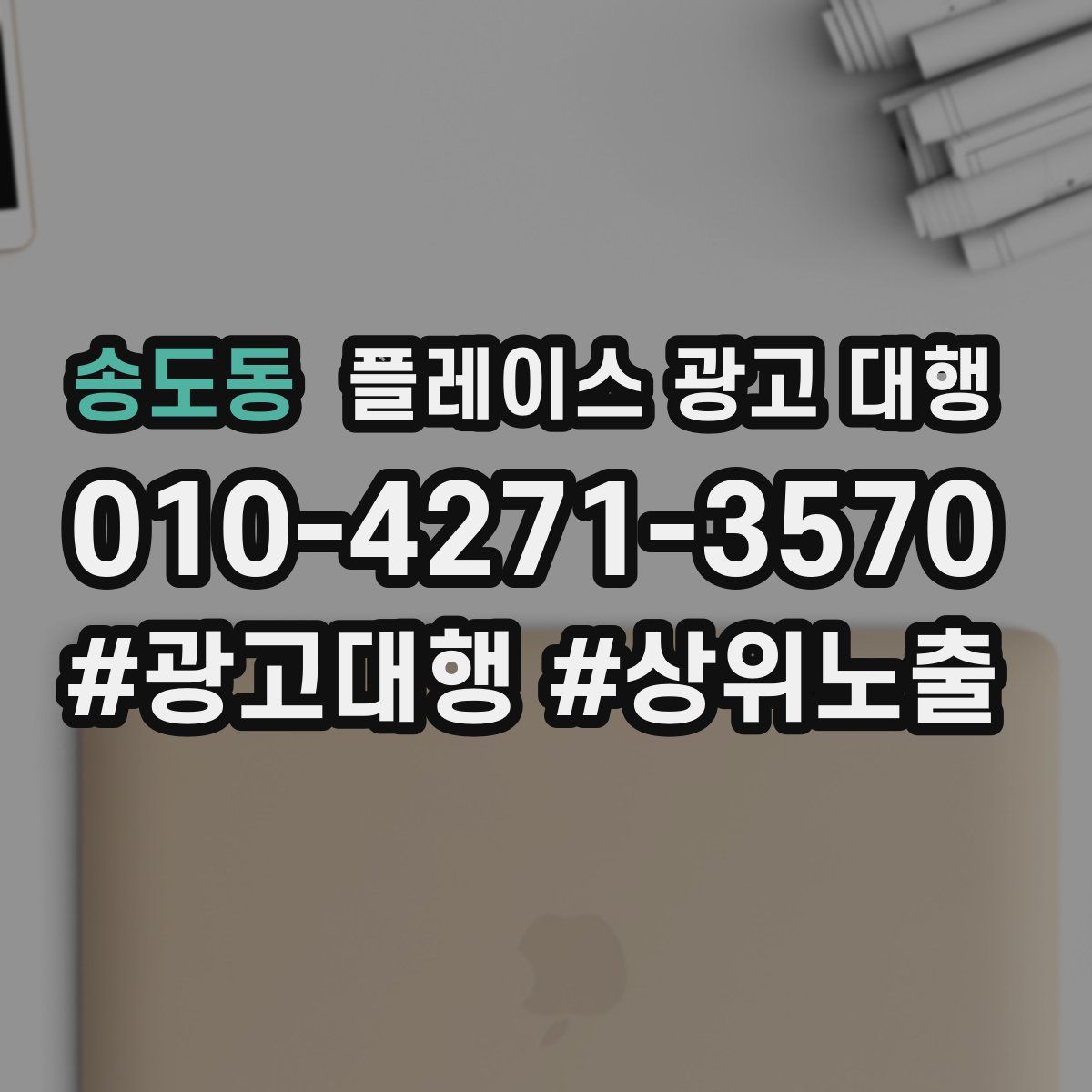 송도동 플레이스 광고 대행