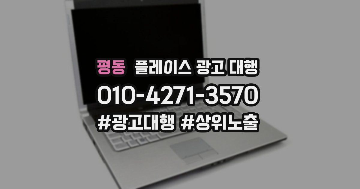 평동 플레이스 광고 대행