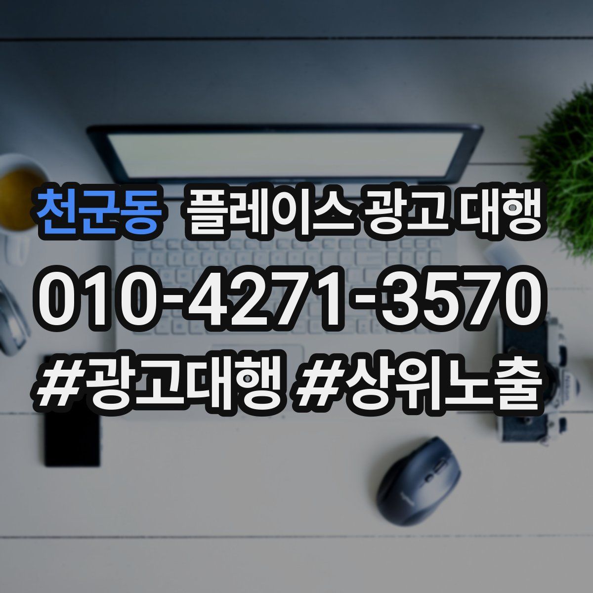 천군동 플레이스 광고 대행