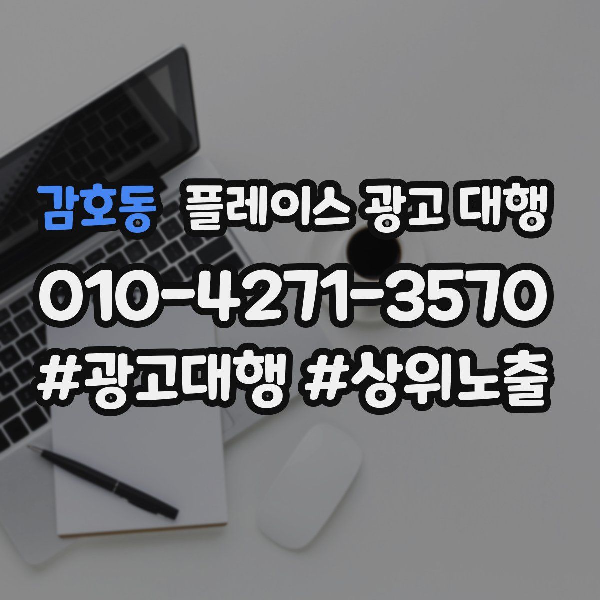감호동 플레이스 광고 대행