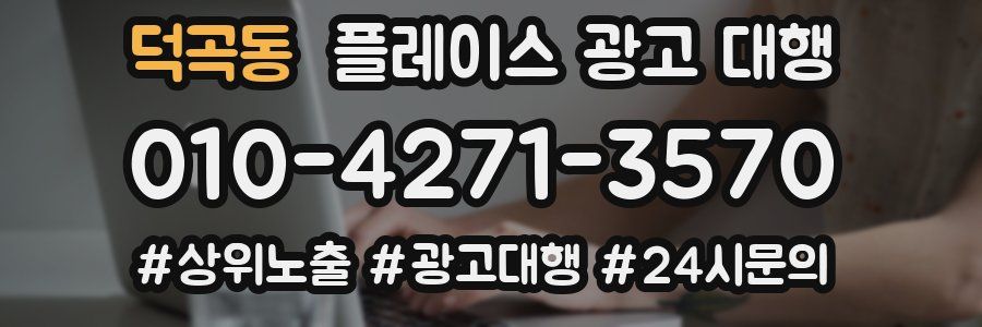 덕곡동 플레이스 광고 대행