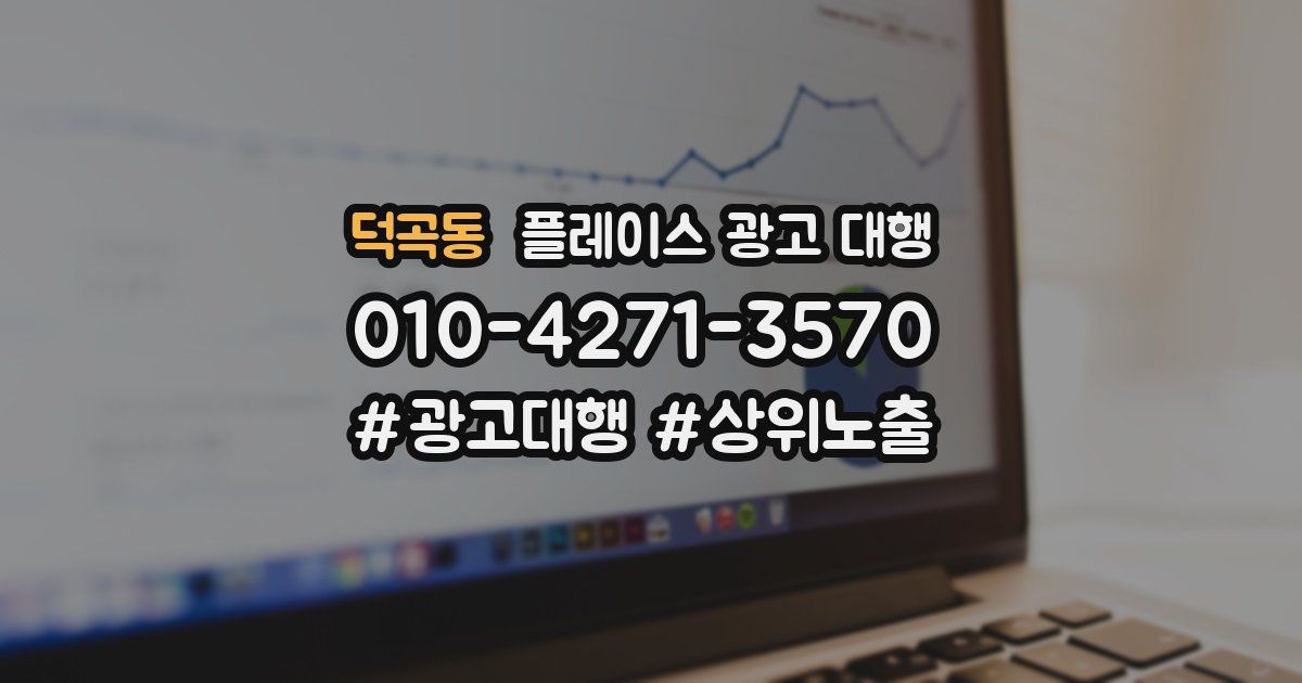 덕곡동 플레이스 광고 대행