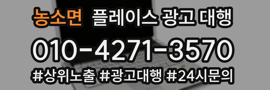 농소면 플레이스 광고 대행