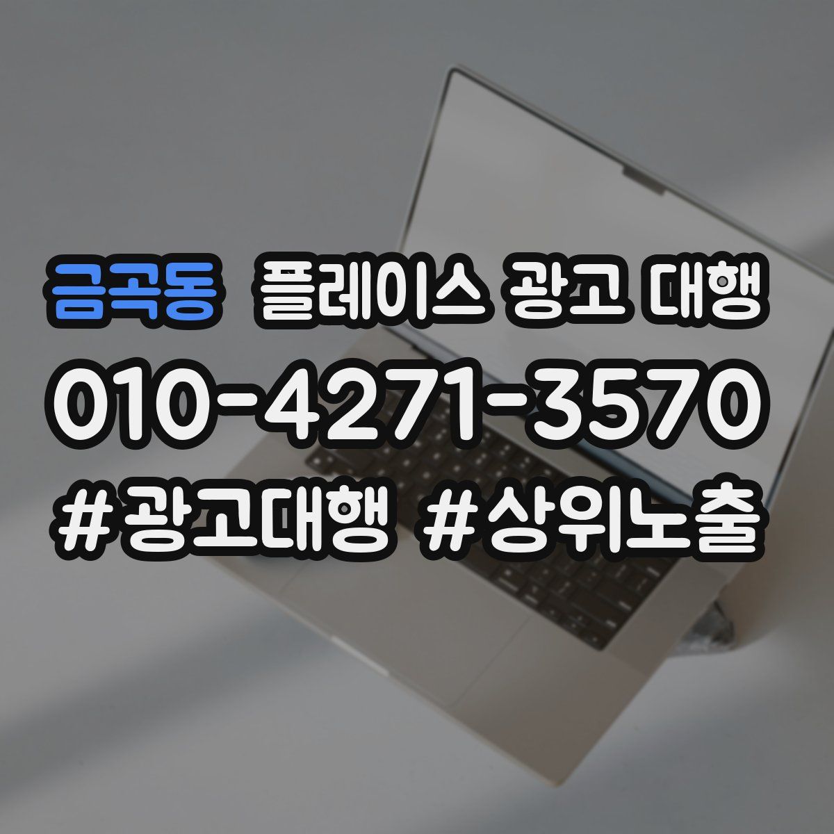 금곡동 플레이스 광고 대행
