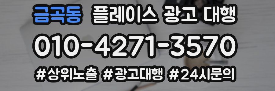 금곡동 플레이스 광고 대행
