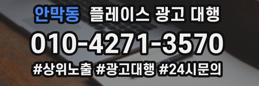 안막동 플레이스 광고 대행