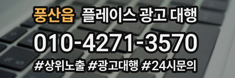 풍산읍 플레이스 광고 대행