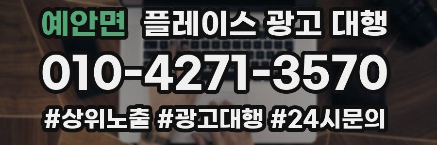 예안면 플레이스 광고 대행