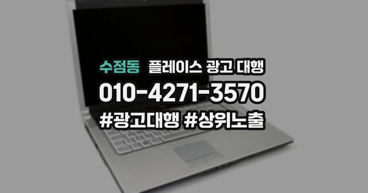 수점동 플레이스 광고 대행