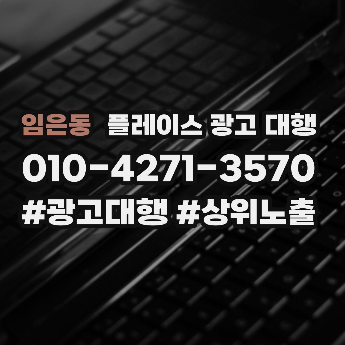임은동 플레이스 광고 대행
