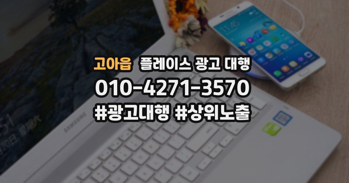 고아읍 플레이스 광고 대행