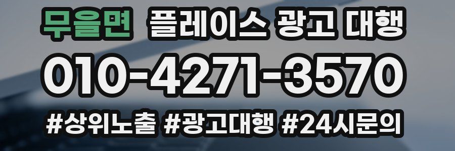 무을면 플레이스 광고 대행