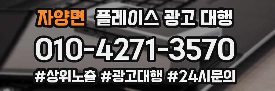자양면 플레이스 광고 대행